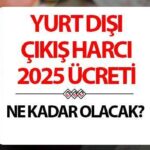 2025 yılında dış hatlar gidiş vergisi ne kadar, TL cinsinden ne kadar? Yurt dışı çıkış vergisi (damga) ne zaman artacak ve nasıl ödenecek? Resmi Gazete’de Yayımlandı!