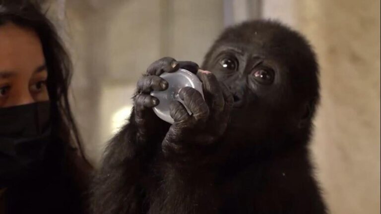 Çocuktan haber var: Rehabilitasyon süreci devam ediyor