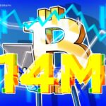 Balinalar sayesinde bitcoin'in sıvı olmayan teklifi 14 milyon BTC ile rekoru kırdı