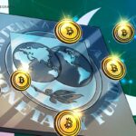 IMF'den İslam Ülkesinin Bitcoin Mineral Hareketine İtiraz