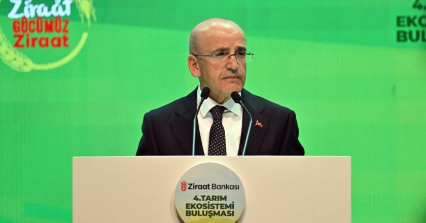 “Devlet sübvansiyonları evlerde kullanılan elektriğin yüzde 55'i, doğal gazın yüzde 65'i”
