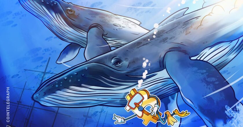 14 yaşındaki uykusu tarafından uyandı bitcoin balinası BTC'yi 4.7 milyar dolarlık aktardı