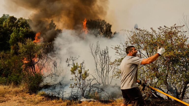 İspanya'daki yangınlar binlerce hektar alanı yok etti