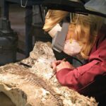 Paleontolog adı nedir? Paleontolog ne yapar, nasıl olunur?