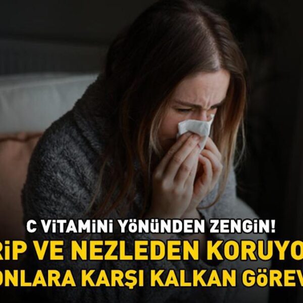 Kilosu 80 TL'ye kadar çıkıyor! Küçük ama faydaları büyük: Grip ve soğuk algınlığına karşı korur ve enfeksiyonlara karşı kalkan görevi görür!